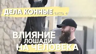Alexander Obzherin: The Philosophy of a Successful Horse Businessman. Part 4