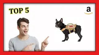 Mejores Arneses para Perros Peque&ntilde;os de Amazon 🐶【2022】