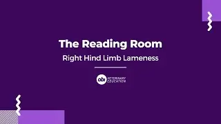 Patella luxation in a dog - The Reading Room - Veterinary Radiology