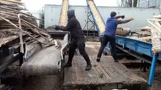 Modern Sawmill | The process of shredding residual wood into sawdust