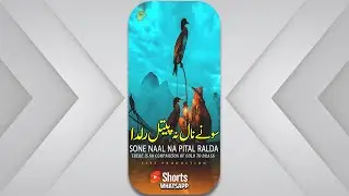 mian bakhsh kalam | sufi status | sufiana kalam status | whatsapp status | fsee production | #shorts