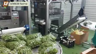 Fresh Salad Packaging Plant
