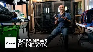 Wildlife Rehabilitation Center of Minnesota sees spike in unusual patients