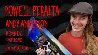 Andy Anderson - Heron Egg Skateboard