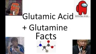 Some Quick Facts About Glutamic Acid and Glutamine