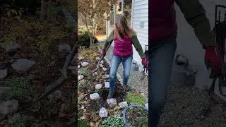 How To Plant Bulbs🌷
