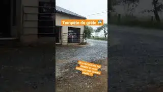 LA GR&Ecirc;LE RAVAGE LES CULTURES