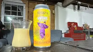 Skygazer Brewing Company Watercolors Creamee 4 Sour Ale Review