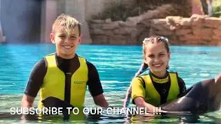 SWIMMING with DOLPHINS Dubai