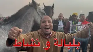 جولة في سوق ثلاتاء خميسات يوم طيكطوك بلبلها نديال بصح