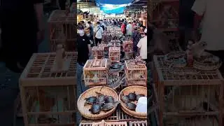 The Most Crowded Traditional Market &ndash; Full of Live Animals