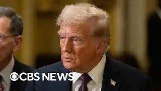 How U.S. immigration policy could change once Trump takes office