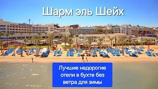 ТОП 5 Лучшие бюджетные недорогие отели Шарм эль Шейха в бухтах без ветра для отдыха зимой