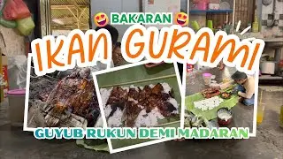 BAKARAN IKAN GURAMI || GUYUB RUKUN DEMI MADARAN 🐟🐠