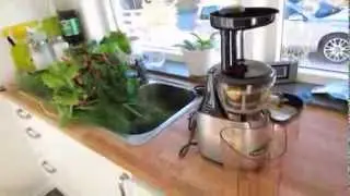 Egen gr&ouml;n juice