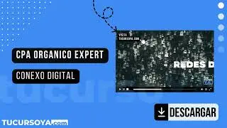 ➡️ CPA Org&aacute;nico Expert | Conexo Digital
