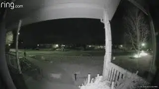 Ghost Cat