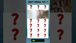 What animal am I ? #guesstheanimals #quiz #riddles