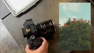 M&agrave;u creative look SH tr&ocirc;ng như ảnh chụp anime | Sony A7IV creative look