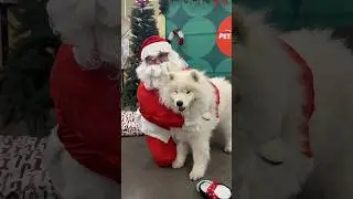 Get your FREE photo with Santa at your local PetSmart 12/13 & 12/14 from 2-5PM! 🎅 #petsmart #santa