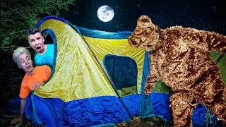 24 HOUR FOREST CAMPING CHALLENGE!