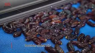 Dates Processing Line With Washing Drying And Packing