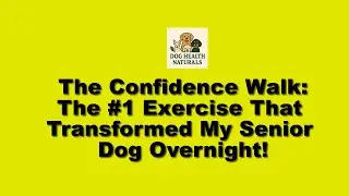 The Confidence Walk: The #1 Exercise That Transformed My Senior Dog Overnight!