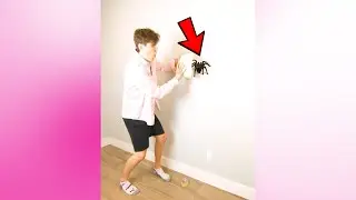 ПОБЕГ ПАУКА! 😂 #Shorts