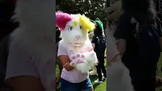 some pictures of my first furmeet🩷💛#furry #furmeet #fursuit
