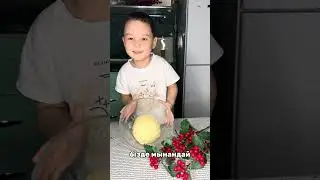 Алишкамен пончик🍩