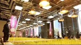 Working in a 9-Storeys Urban Farm in the center of Tokyo