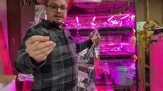 Check Out Our BIG Seed Starting Setup! | Easy Indoor Grow Lights for Gardening and Starting Seeds