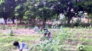 ACPR, Arul Anandar College (Autonomous), Karumathur, Madurai