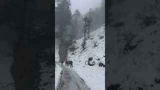 Chakrata in winters #chakrata #moilatop #uttarakhand