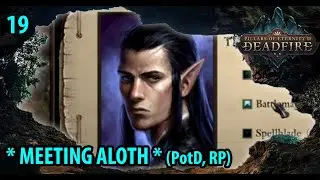 FINDING ALOTH. Pillars of Eternity 2 Deadfire Turn-Based Path of the Damned (2020 5.0 Roleplay) #19