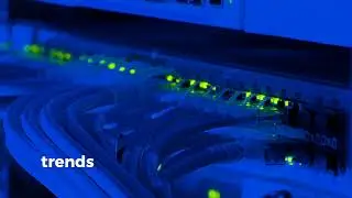 Welcome to BitVerse