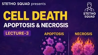 CELL DEATH: APOPTOSIS & NECROSIS | LECTURE 3 | Pathology Lecture | Stetho Squad