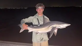 Bayside Shark Fishing in NJ