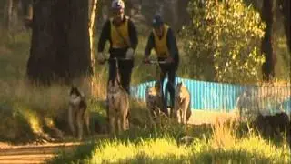 Undera Sled Dog Dash - WIN News 2011