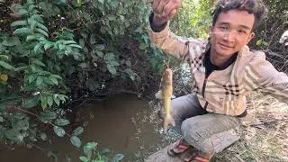 Amazing big fish catching method by hook traps