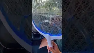 Best bug swatter