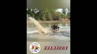 Serious Sunday Splashes 🐘💦💦💦 X-street begging #elephant enjoying #expressing herself