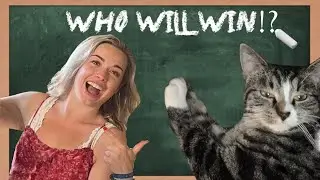 JUMP BATTLE Classroom Special! Teacher vs Cat with breaks