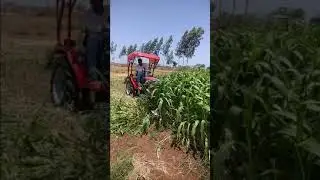 Tractor mounted reaper