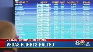 Vegas flights halted