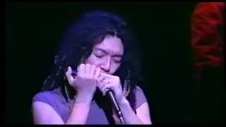 Groove Dynasty 2000 | Horridula