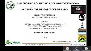 Yacimiento de Gas y Condensados UPGM IP