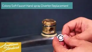 How to Replace the Hand Spray Diverter for your Colony Soft Faucet