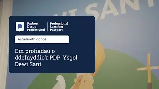 Ein profiadau o ddefnyddio'r PDP: Ysgol Dewi Sant