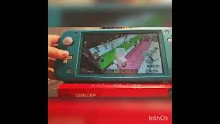 Заколдованная кошка. GreenFa и Minecraft. Nintendo switch.